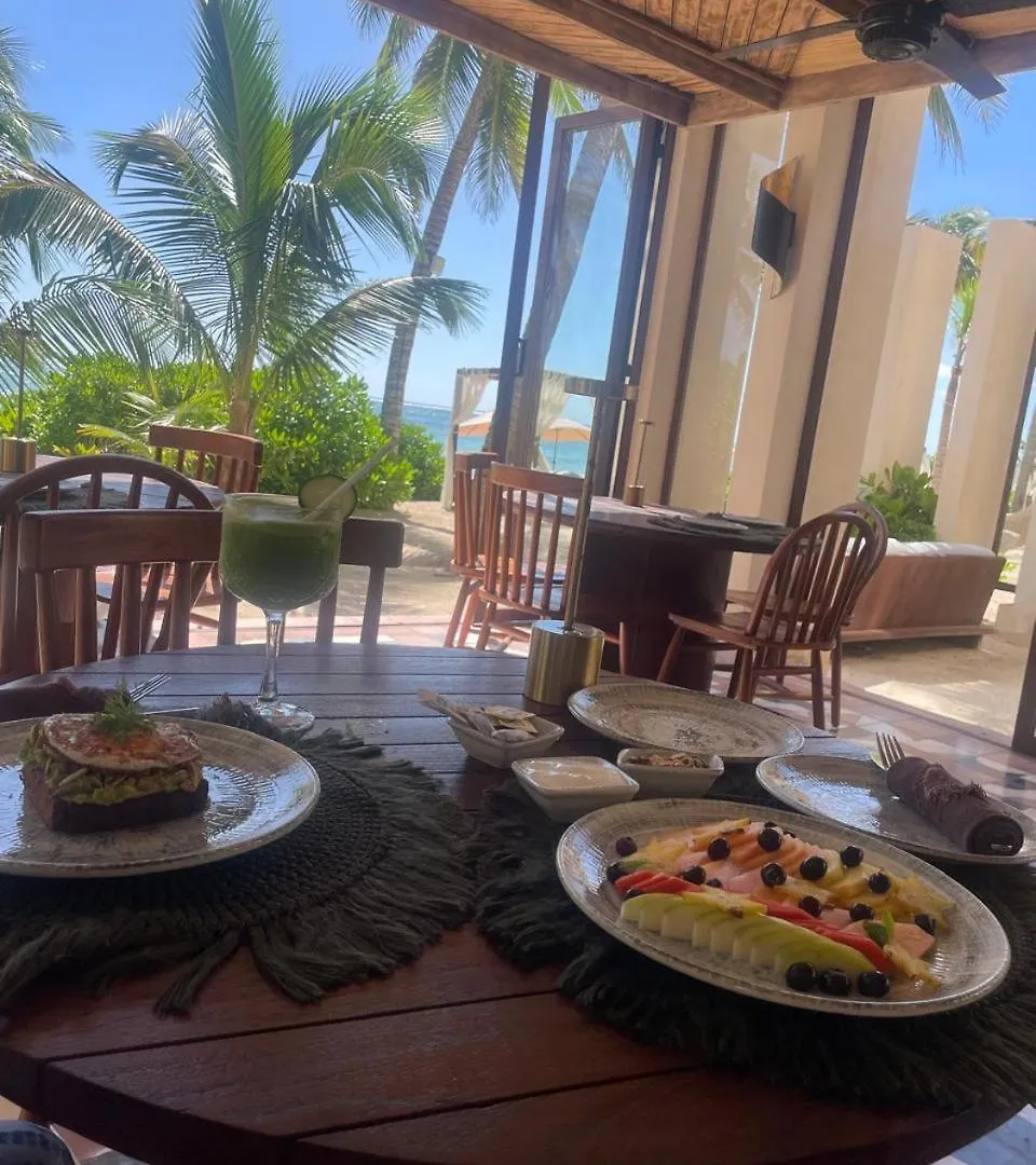 Beach Front Luxury Condo In Tulum Apartment