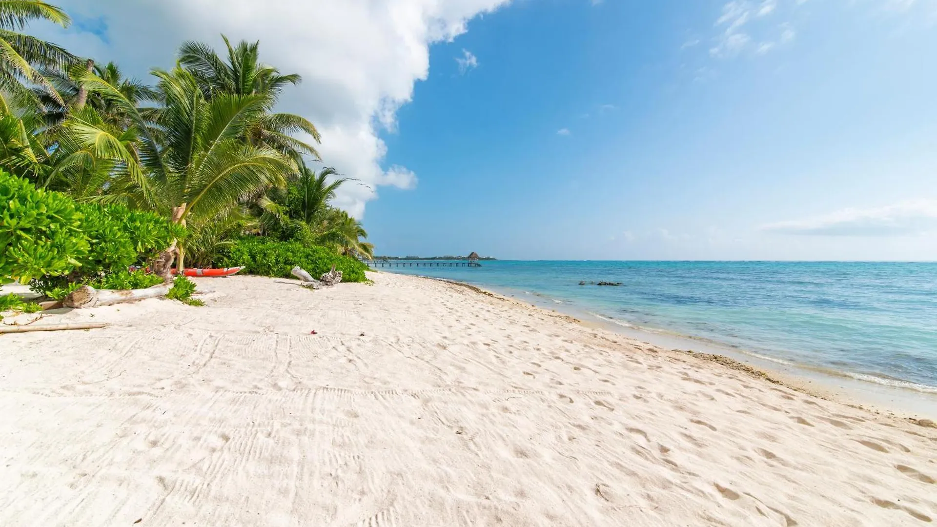 Beach Front Luxury Condo In Tulum Mexico